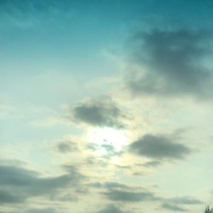 Meet your Posher, Sylvia